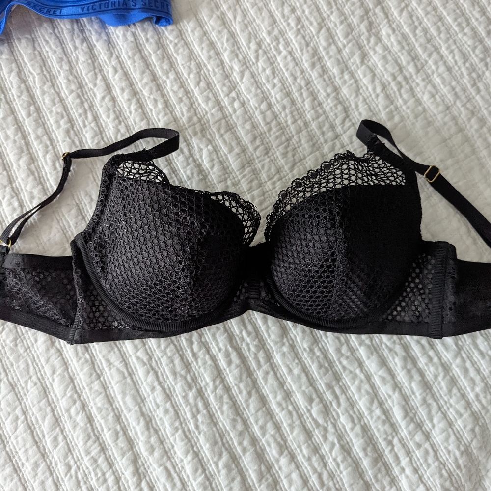 VS plunge fishnet bra